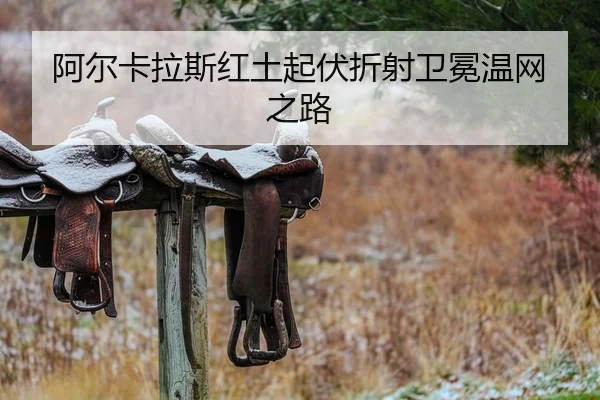 阿尔卡拉斯红土起伏折射卫冕温网之路