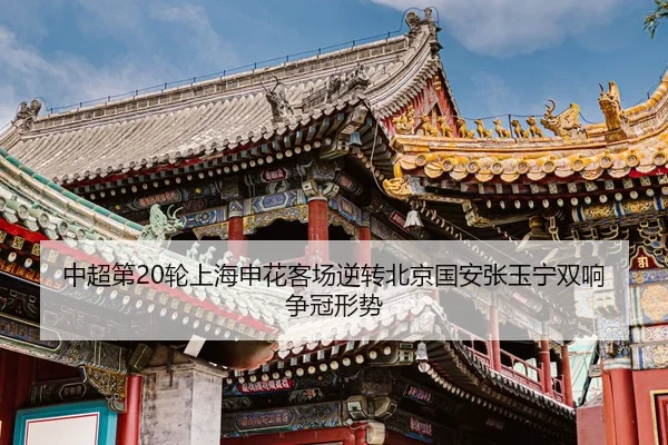 zhong-chao-di-lun-shang-hai-shen-hua-ke-chang-ni-zhuan-bei-jing-guo-an-zhang-yu-ning-shuang-xiang-zheng-guan-xing-shi-3-610.jpg